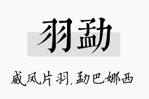 羽勐名字的寓意及含义