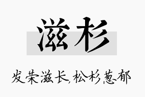 滋杉名字的寓意及含义