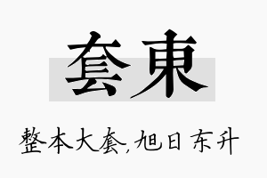 套东名字的寓意及含义