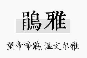 鹃雅名字的寓意及含义