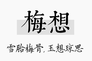 梅想名字的寓意及含义