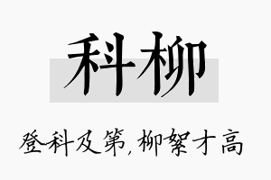 科柳名字的寓意及含义