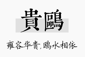 贵鸥名字的寓意及含义