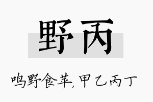 野丙名字的寓意及含义