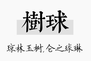 树球名字的寓意及含义