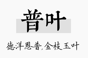 普叶名字的寓意及含义