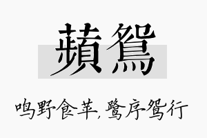 苹鸳名字的寓意及含义