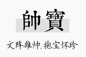 帅宝名字的寓意及含义