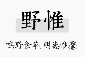 野惟名字的寓意及含义