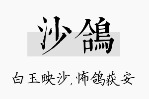 沙鸽名字的寓意及含义