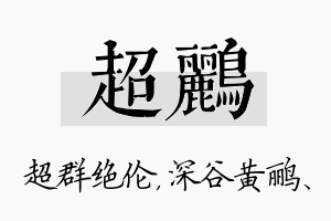 超鹂名字的寓意及含义