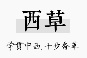 西草名字的寓意及含义