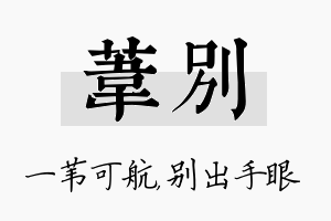 苇别名字的寓意及含义