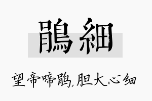 鹃细名字的寓意及含义