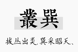 丛巽名字的寓意及含义