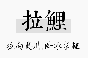 拉鲤名字的寓意及含义