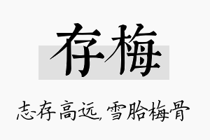 存梅名字的寓意及含义