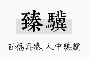 臻骥名字的寓意及含义