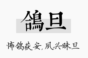 鸽旦名字的寓意及含义