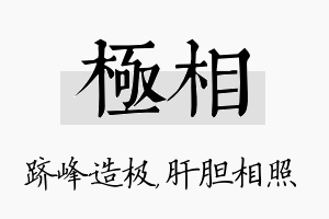 极相名字的寓意及含义