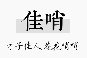 佳哨名字的寓意及含义