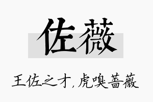 佐薇名字的寓意及含义