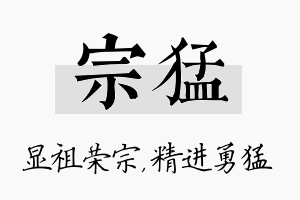 宗猛名字的寓意及含义