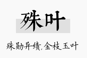 殊叶名字的寓意及含义