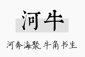 河牛名字的寓意及含义