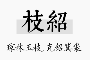 枝绍名字的寓意及含义