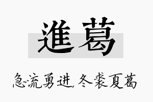 进葛名字的寓意及含义