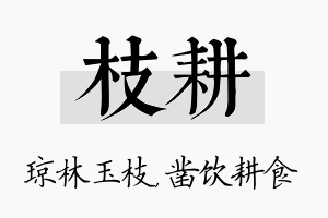 枝耕名字的寓意及含义