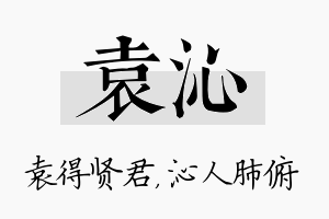 袁沁名字的寓意及含义