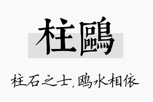 柱鸥名字的寓意及含义