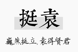 挺袁名字的寓意及含义