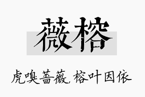 薇榕名字的寓意及含义