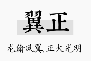 翼正名字的寓意及含义