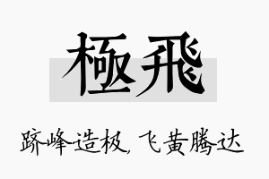 极飞名字的寓意及含义