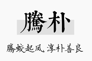 腾朴名字的寓意及含义