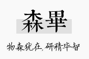 森毕名字的寓意及含义