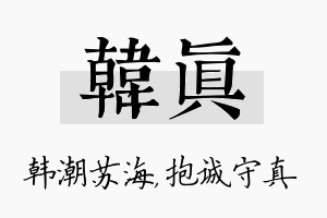 韩真名字的寓意及含义