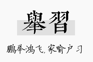 举习名字的寓意及含义