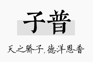 子普名字的寓意及含义