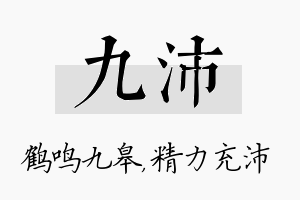 九沛名字的寓意及含义