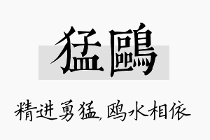 猛鸥名字的寓意及含义