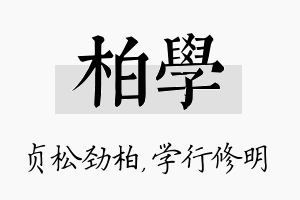 柏学名字的寓意及含义