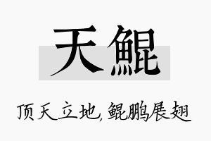 天鲲名字的寓意及含义