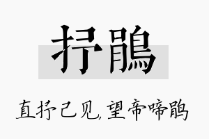 抒鹃名字的寓意及含义