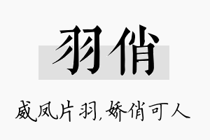 羽俏名字的寓意及含义