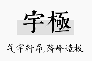 宇极名字的寓意及含义